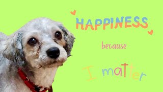 Happiness - rescued and soon available through Almost Home Foundation ￼