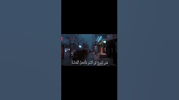 ياسر الدوسري - كل نفس ذائقة الموت #ياسر_الدوسري #سورة_آل_عمران #قران_كريم #islamicvideo