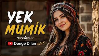 Yek Mumi̇k Kürtçe Halay Kurdişh (Denge Dilan Rock Cover)