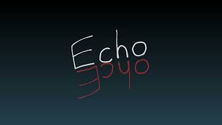 Echo