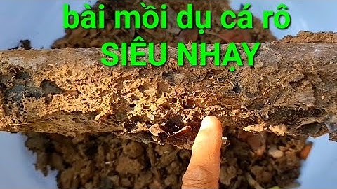 câu cá rô đồng, BÀI MỒI dân gian câu cá đồng SIÊU NHẠY