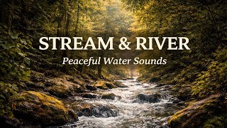 Your Daily Calm Escape 🌊 Flowing Stream Sounds for Deep Sleep, Study & Stress Relief 🧘‍♀️ 2 Hours 📺📿