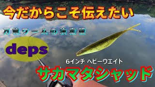 【春のワーム祭り第4弾】サカマタシャッド6インチヘビーウエイトに〇〇〇を見た【デプス】