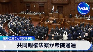 自民･立憲などの賛成多数　共同親権法案が衆院通過【WBS】（2024年4月16日）