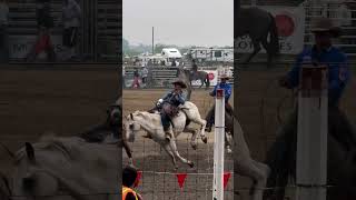 60th Manitoba Stampede_2025_Bareback Riding & Saddle Bronc Riding#rodeo #cowboys