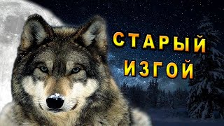 /Законы Стаи/Таёжная История/