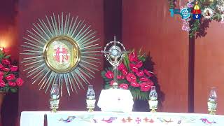 August 13 2026 6 30 AM Thursday of the Nineteenth Week in Ordinary Time