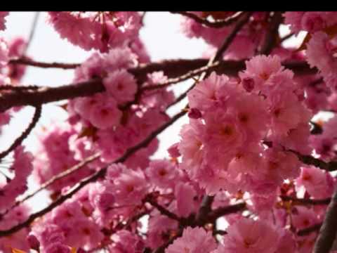 Kenny G -Baby G