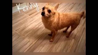 My Creation, Using The ALIVE Video Editing App screenshot 4