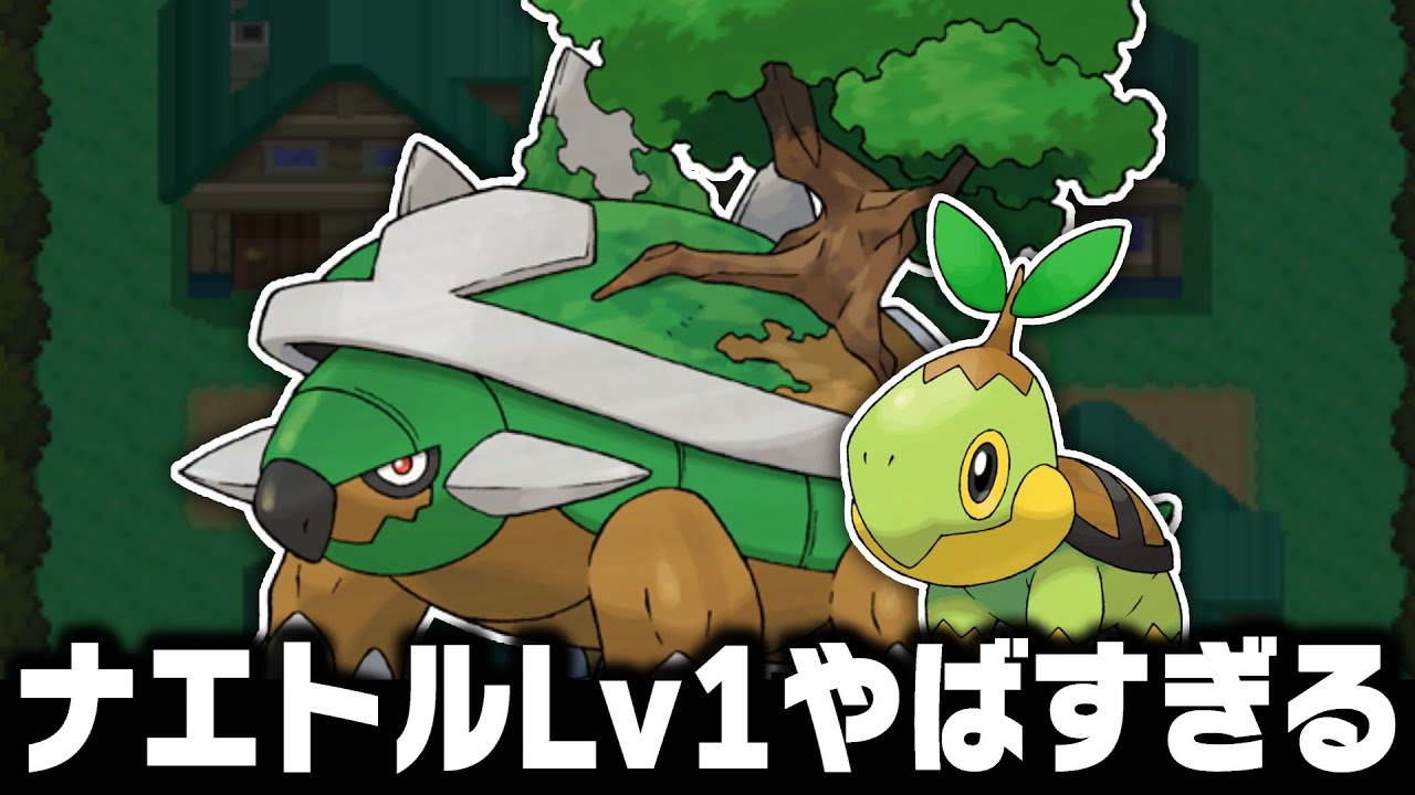 ナエトルLv1がイッシュ地方の最初のポケモンだったら1匹でクリアできるの？【ブラックホワイト/BW】