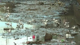 Quattro mesi per ripulire il Canale Saint Martin a Parigi