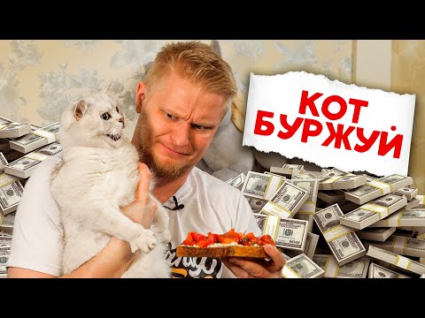 СЫРЫЕ КРЕВЕТКИ ЗА 700 РУБЛЕЙ! BEEF ZAVOD. СЛАВНЫЙ ОБЗОР.