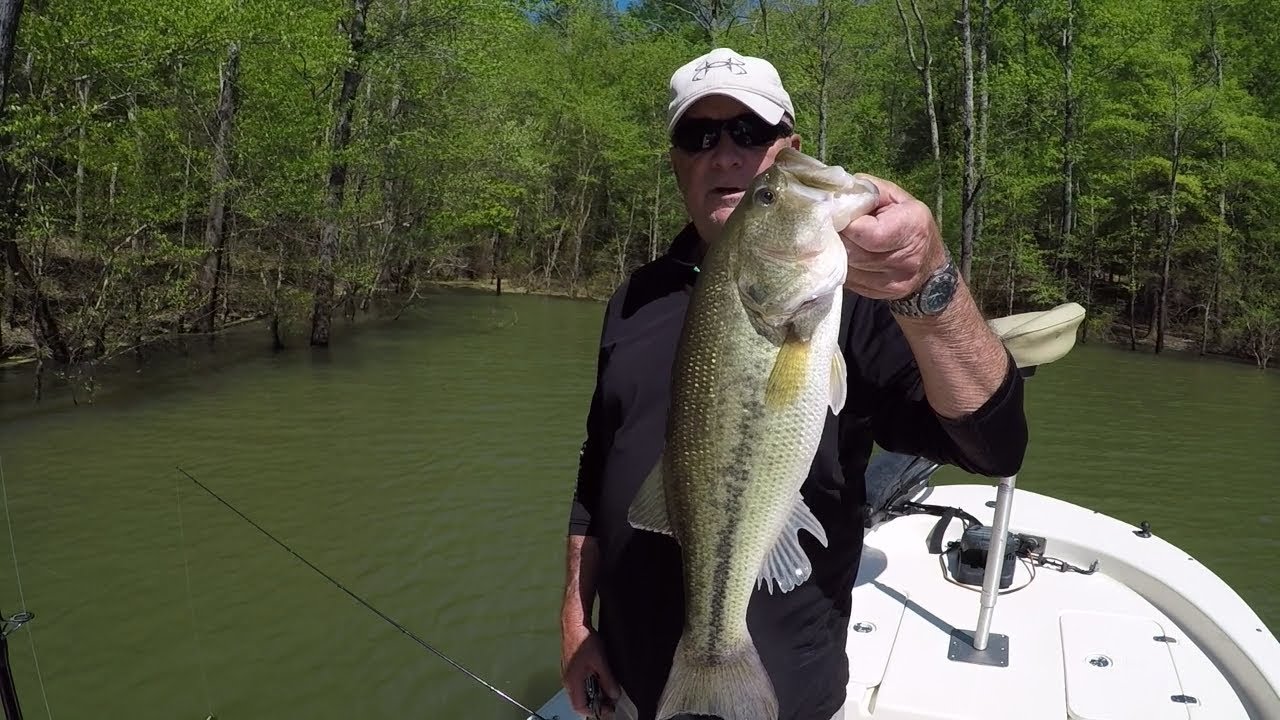 Bass fishing Kerr Lake YouTube