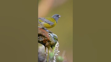 سورة الأنبياء - الشيخ فارس عباد