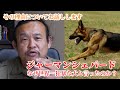 【世界一狂暴?】発言の理由についてお話しします【ジャーマンシェパード】