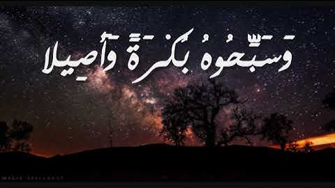 سورة الأحزاب - يا أيها الذين آمنوا اذكروا الله ذكرا كثيرا