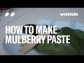 How to Make Mulberry Paste