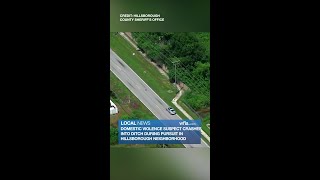 Domestic violence suspect crashes into ditch during pursuit in Hillsborough neighborhood
