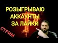 СТРИМ! РОЗЫГРЫШ АККОВ ЗА ЛАЙКИ(18+)!!ГОРИМ НА РТА! RAID SHADOW LEGENDS!
