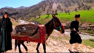 Interesting video of Jamshid and Farzaneh's return to the mountain house