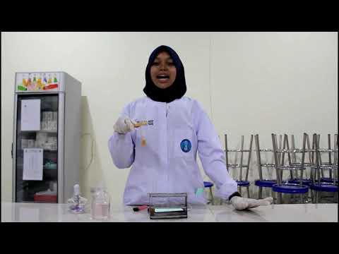 Pemeriksaan Protein Urin Metode Asam Sulfosalisyl