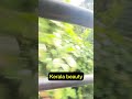 Kerala beauty #kerala #shabarimalai #nature #2025 #ayyappaswamy #happynewyear2025 #sunday #beauty