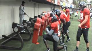 LEV Sled - Base and Drive Blocking