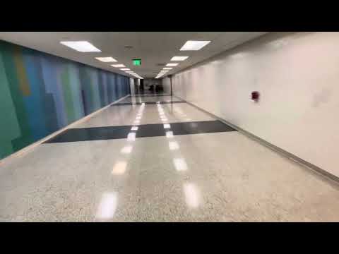 HOLTZMAN IS ARRIVING LAX 7-25-24