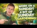 WORK ON A SUNDAY !!! COME DO SOME GARDENING WITH ME 🪴 🧑🌾 #gardening #garden #sundaywork