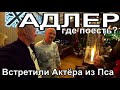 Сочи, набережная Адлера, где вкусно, бюджетно поесть