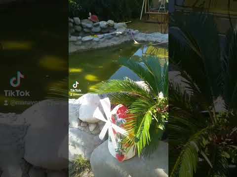 Manavgat kahvaltı mekanları nardibi