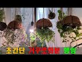 30분만에 뚝딱 초간단 /거꾸로화분/행잉 만들기/Upside-down flowerpot,Hanging Planter, Wall Planter