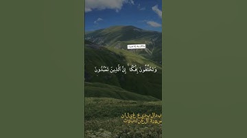 #سورة_العنكبوت #اكسبلور