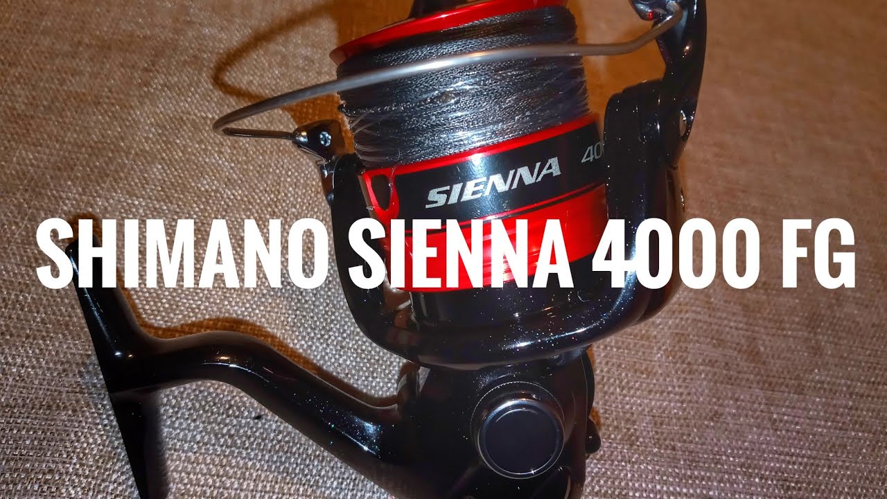 Shimano sienna 4000 fg 