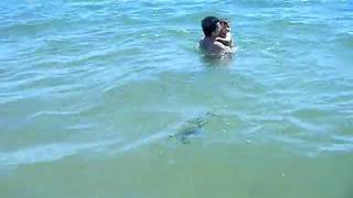 Picture 341.avi