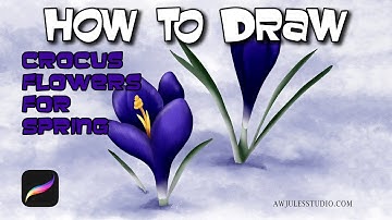 How To Draw Crocus Flowers For Spring in Procreate