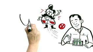 Facts about the flu - English