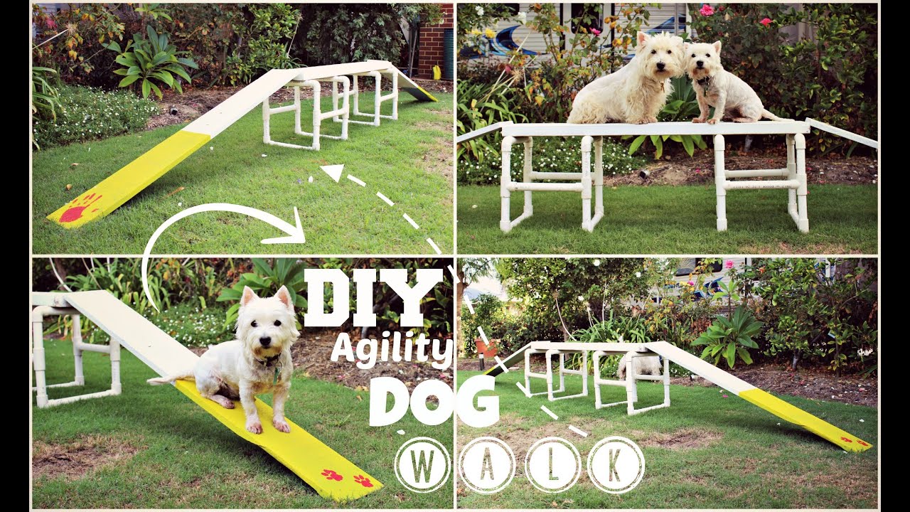 building a dog agility course