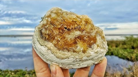 Finding Calcite Crystals Inside Fossil Clams! Rockhounding in Florida