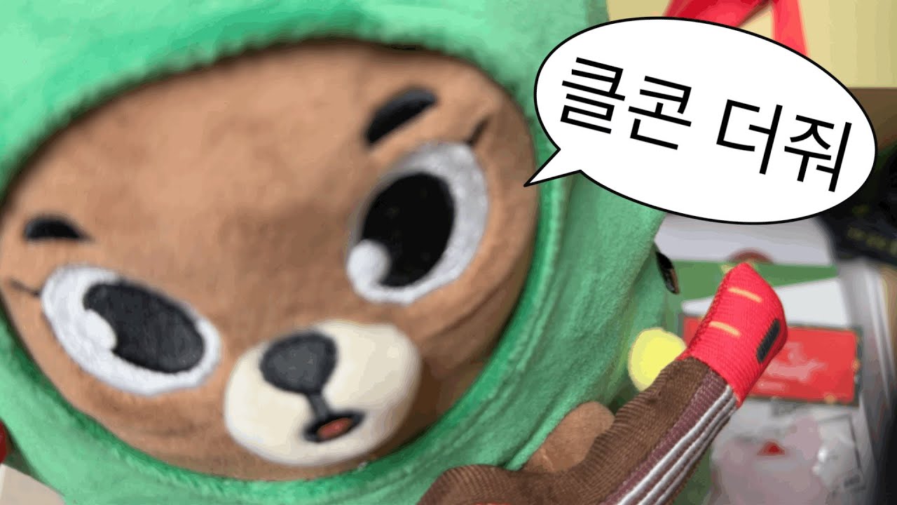 DAY6 데이식스 클콘 다녀왔어요 | 소박한 엠디깡 • 나눔 • 방이의 캐롤 커버 • 마이데이짱