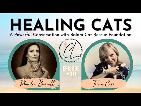 Healing Cats - Balam Foundation Cat Rescue | Charmed Life Podcast Ep. 311