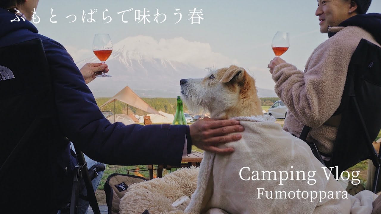 【犬とキャンプ】山菜と春野菜を味わう春のふもとっぱら〜スカイパイロットtc＠ふもとっぱらキャンプ場