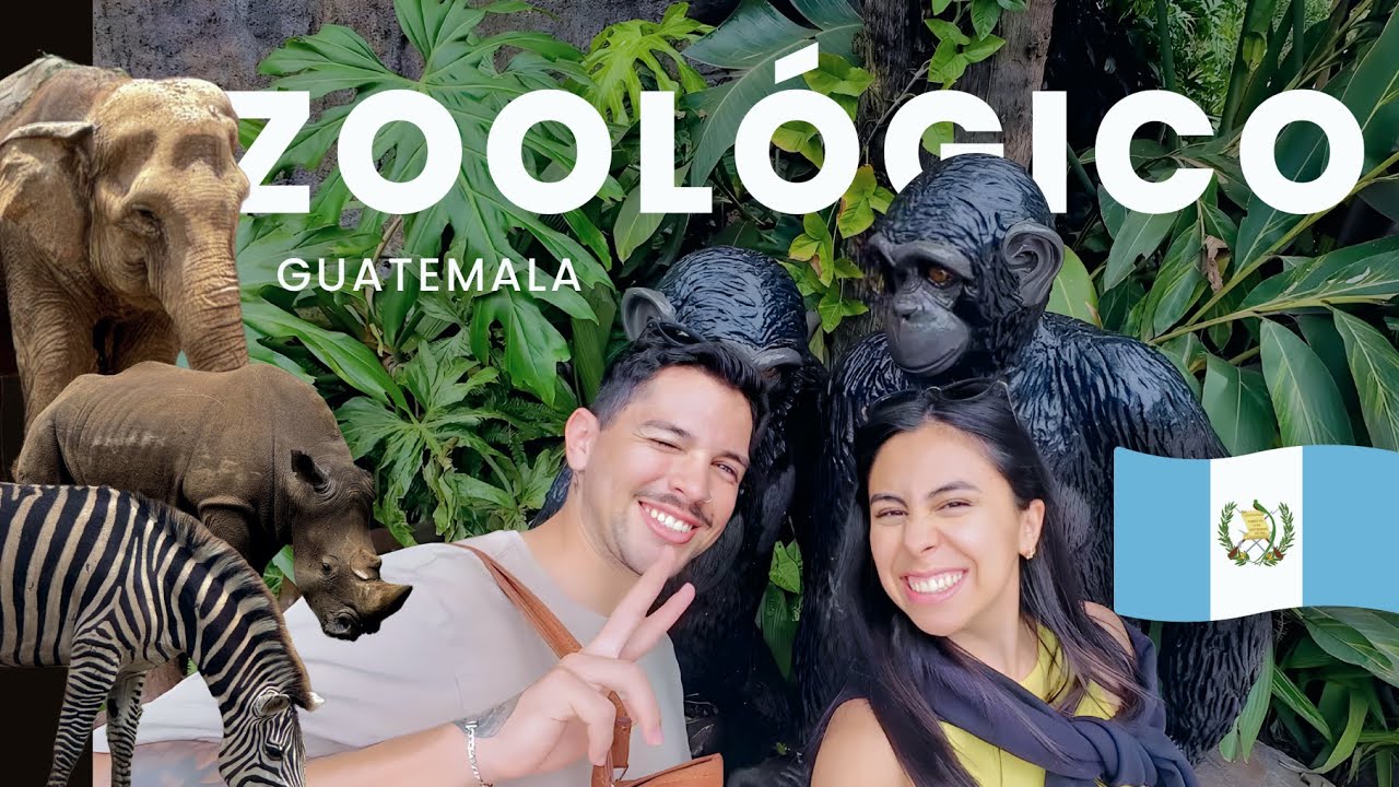 CONOCIMOS a más de 2500 ANIMALES en el ZOOLÓGICO mas LINDO de CENTROAMÉRICA | Guatemala #4