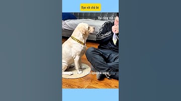 Bạn với chả bè # vui cùng cún cưng