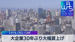 大企業30年ぶり大幅賃上げ　3.91％ １万3,110円【WBS】（2023年5月19日）