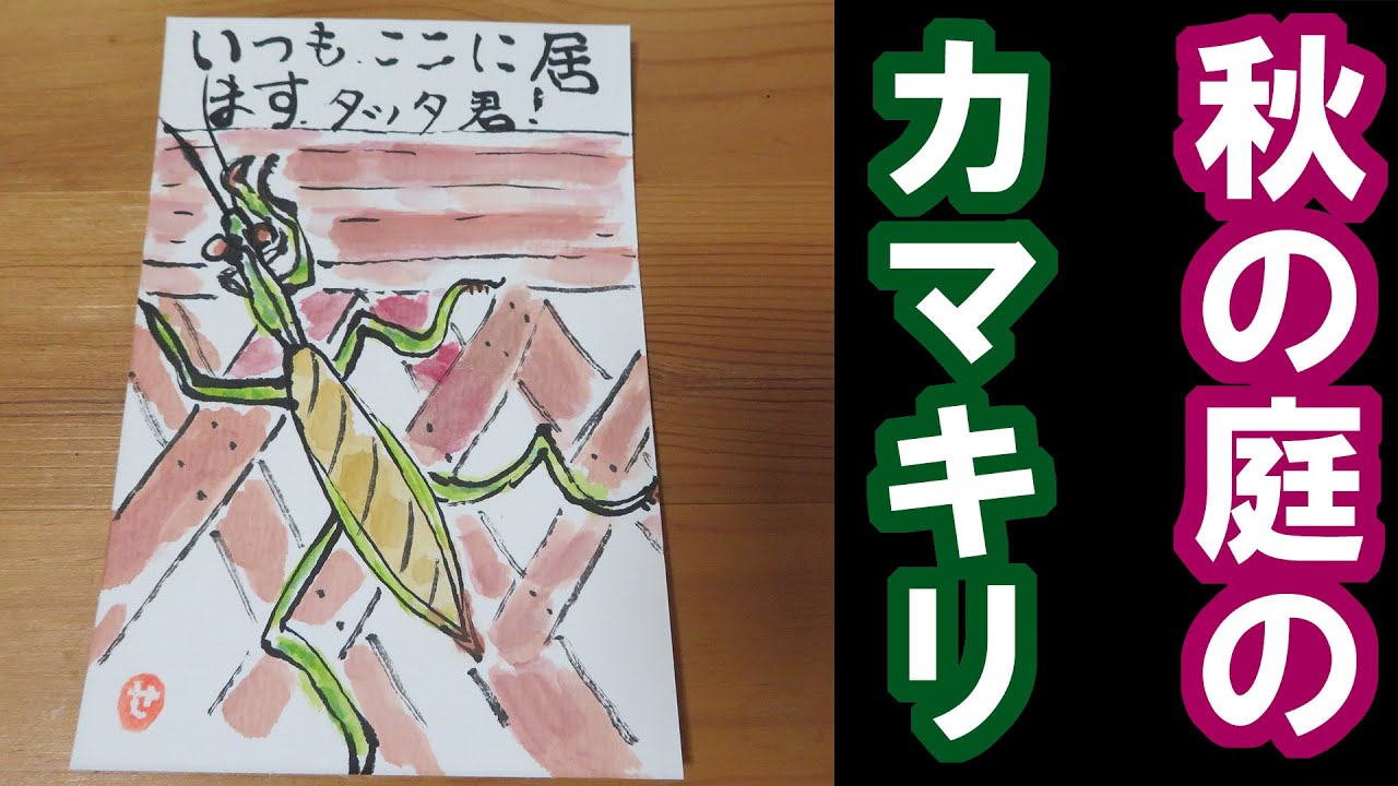 絵手紙】【秋】#038 秋の庭のカマキリ【顔彩】【1.5倍速】 - YouTube