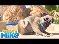 MIGHTY MIKE 🐶 Sneezing scratching 🐾 - Cartoon Animation for Kids