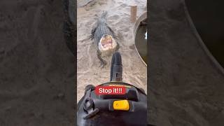 Alligator Attacks Vacuum!!! π±π#shorts #alligator