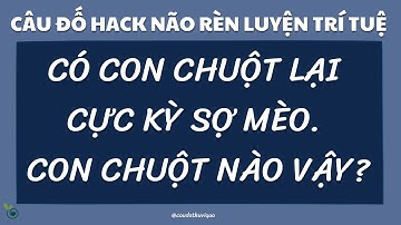 Những Câu ĐỐ MẸO HACK NÃO Đố Vui Hài Hước Nhất Có Đáp Án 😂🔥| Giúp Bạn Rèn Luyện Trí Thông Minh