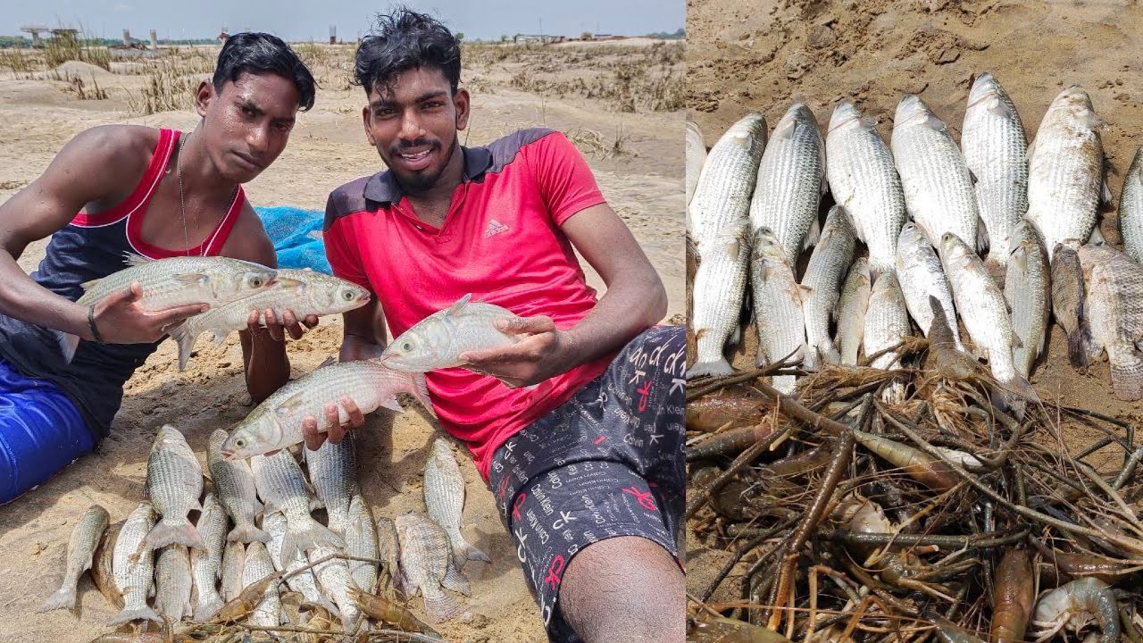 top 5 amazing video fishing | amazing hand fishing | 2022 new fishing video | tamil nadu fishing